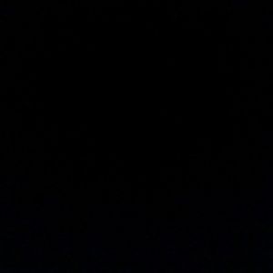 Meet your Posher, Ariel